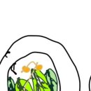그릇에빠진커피 | 인스타최근근황!!(20260525월!)