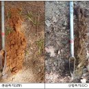 ㈜푸름바이오 | [우수논문] 도시 공원녹지 식재기반 조성을 위한 토양 평가 기준 연구 (21.2.22)