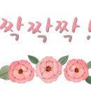 영힐링센타 이미지