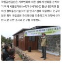 반지모텔 | 음정마을-벽소령대피소-세석대피소-천왕봉-중산리 1박2일 지리산황제등산후기
