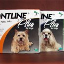 주식회사 버박코리아 이미지