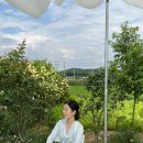 최씨농장 이미지