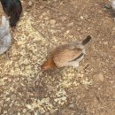 한삼농장 이미지