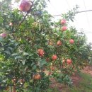 해신농장 이미지