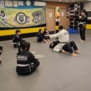 용인대 합기도 주짓수 이미지