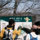 자발적고립 웹이코노미