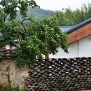 백년민박 이미지