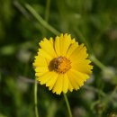 모란파크 이미지