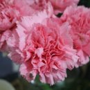 부동산랜드 이미지