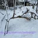 영배농장 이미지