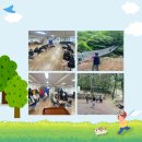 국제문화스포츠교육원 제주힐링캠프 | 숲·별·바다의 드넓은 세상으로 초대합니다, 서울시교육청 학생교육원