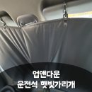 다운업 | 차량햇빛가리개 찾는다면? 업앤다운 차량용햇빛가리개 후기
