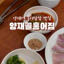 양재골홍어