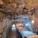 옛날토굴새우젓 이미지