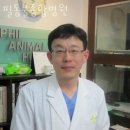 필동물종합병원 이미지
