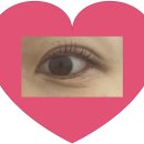 유성자이 안경 | 유성 봉명동 속눈썸펌 잘하는 곳 대전 봉명동 속눈썹펌 엘리뷰티 눈썹&amp;속눈썹 추천