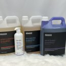 위드 더 독 이미지