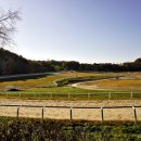 원당목장 이미지