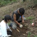 기봉농장 이미지