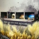 합창뮤지컬<위키드> | 뮤지컬 몽유도원 김주택 막공 샤롯데씨어터 1층 R석 후기