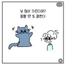 김곳간 | 일방적 근황체크 하세요