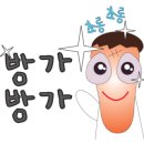 솔담 이미지