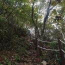 당사모 | 산행후기_mr.j 26 조계산 접치재 장군봉 천자암 송광사 2