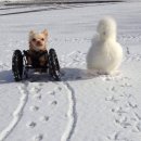 우정동물병원 이미지