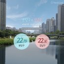 분당-339 이미지