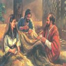 (주) 바울글로벌 이미지