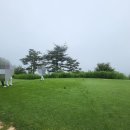 더플레이어스골프클럽 | 춘천 더플레이어스골프클럽 6월 새벽 라운딩 후기