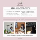 사월초등학교 | [대구 샌드아트] 경북 대구 사월초등학교 장애인식개선 교육 / 장애이해교육 샌드아트 공연