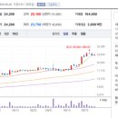 미르메딕스 이미지