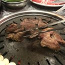 해피햄찌