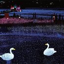 허브아일랜드민박 이미지