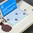 오 마이 캣 이미지