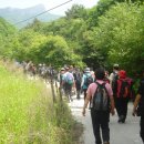 (주)한백산 Daum카페