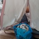 원룸세탁 이미지