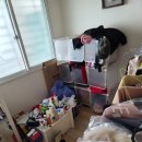 성일약품 이미지