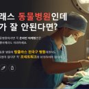 조 동물병원 이미지