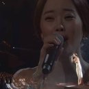 라이브펫 이미지