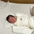 [공지] 우리 아이 피부, 매일 조금씩 건강하게. 아기아토피 아토피관리팁 대병후기 알러지검사후기