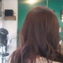꽃미장원 이미지
