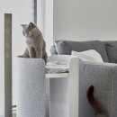 디자인호우 이미지