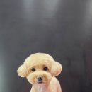 루이스독 이미지