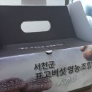참좋은태양광발전소 이미지