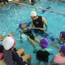 수영초등 이미지