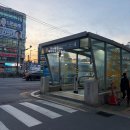 태평시장 | 260416 성남 중앙시장 태평 양꼬치 맛집 양심정양갈비 솔직후기