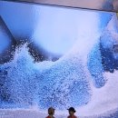 25.6/19(목)대부 해솔길1코스-구봉도숲길(진행:길상님) 이미지