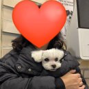 의정금오9 이미지